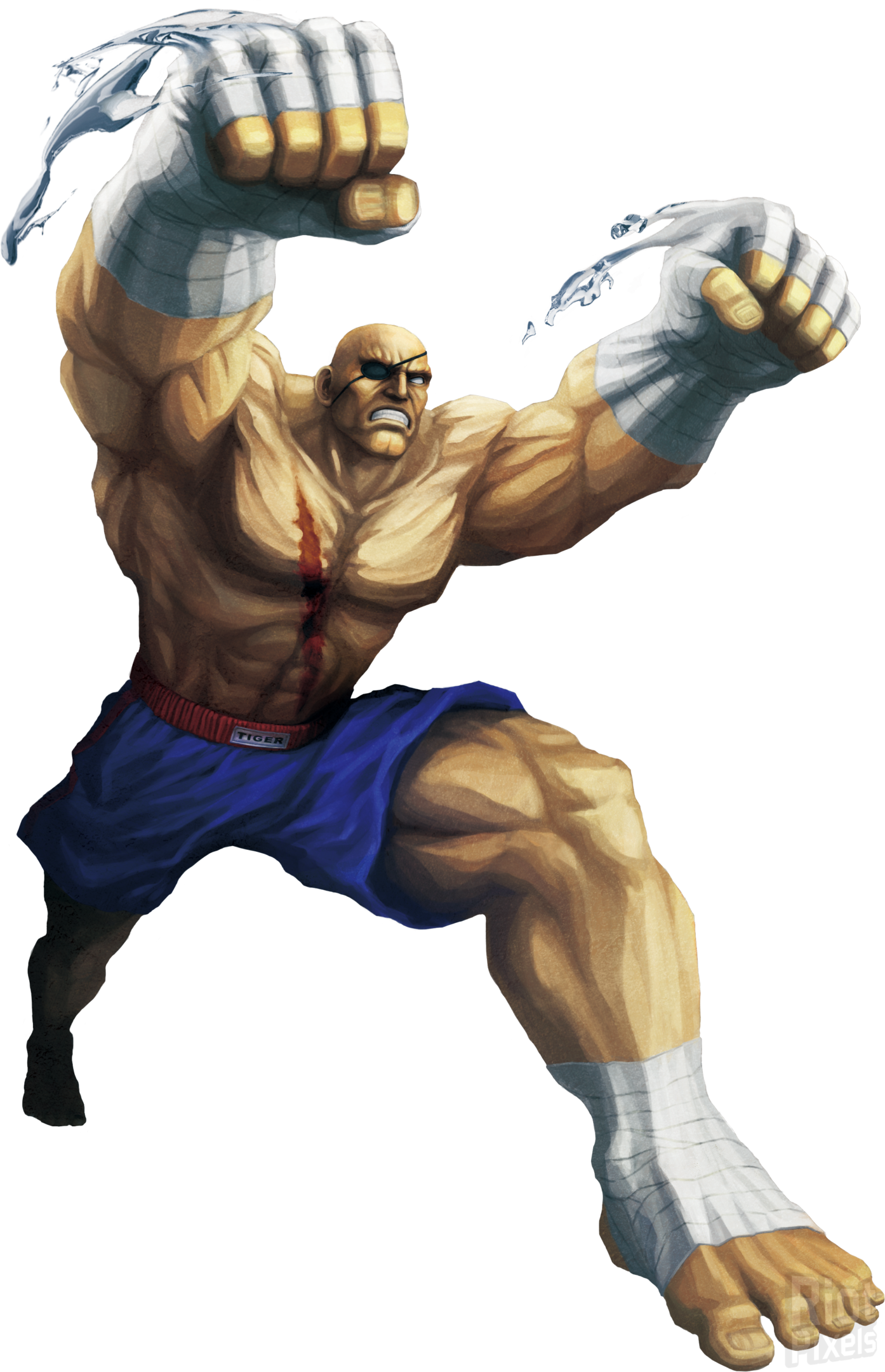 Warrior Fighter Character Tekken Fictional Ii Street PNG Image