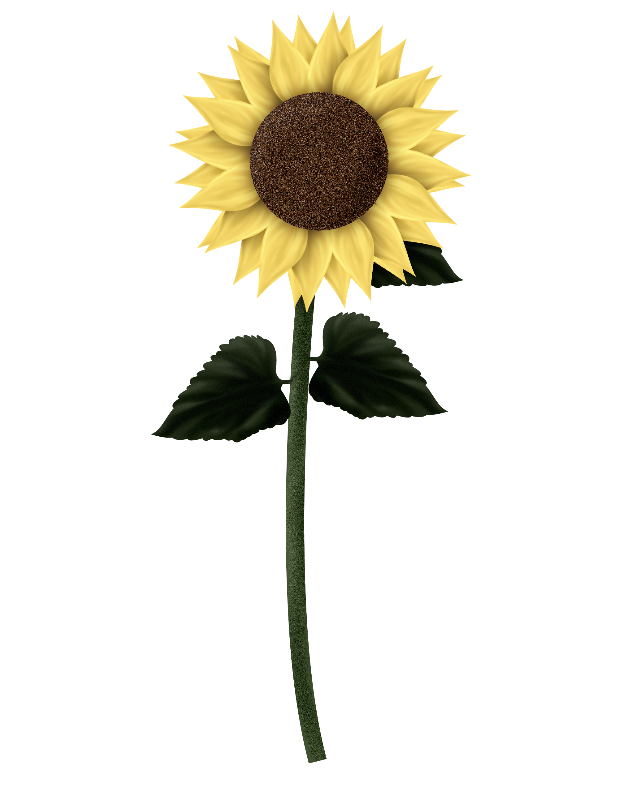 Sunflowers Png Clipart PNG Image