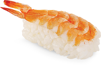 Sushi File PNG Image