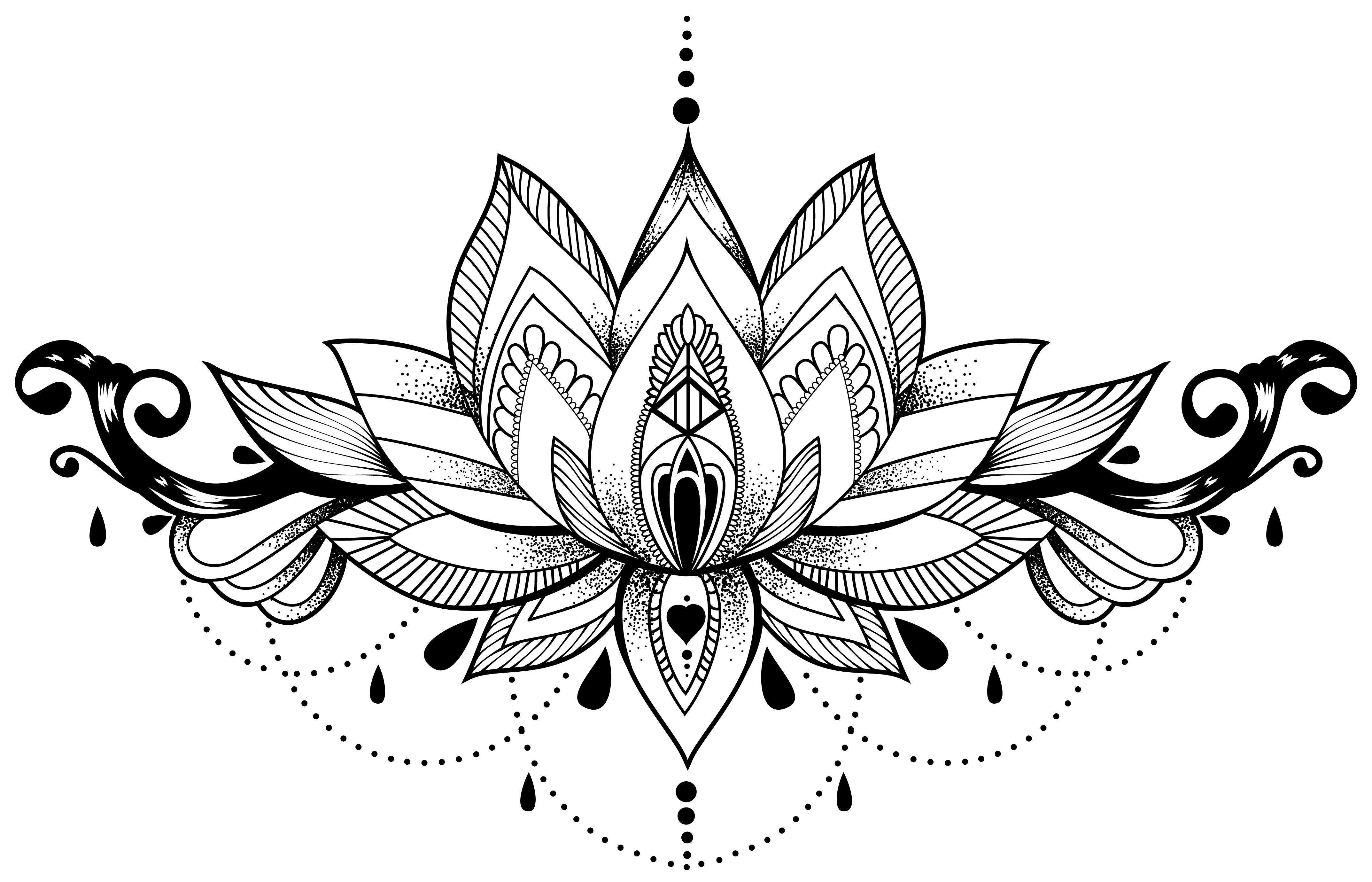 Nelumbo Nucifera Henna Mandalas Abziehtattoo Drawing PNG Image