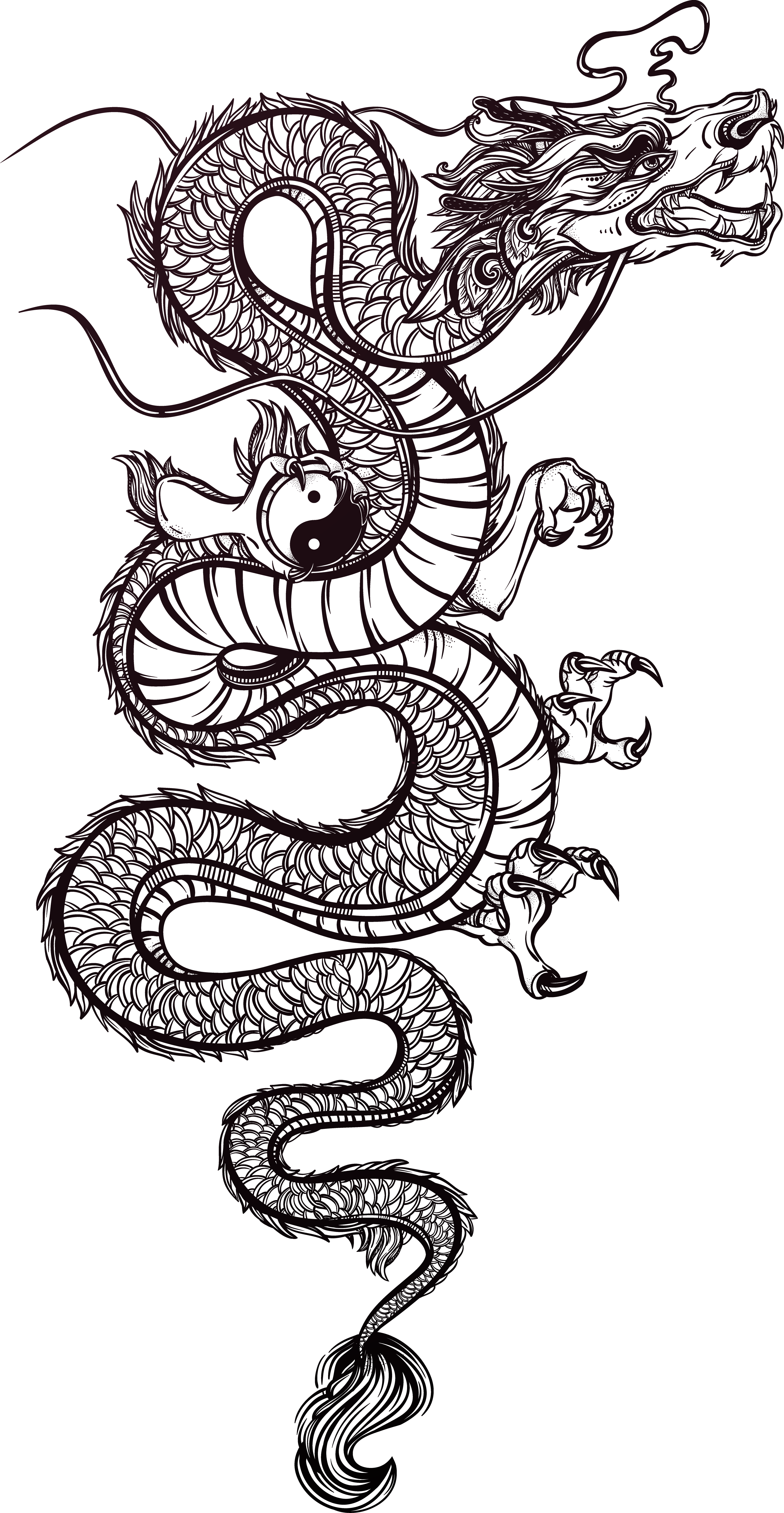 Tattoo Chinese Dragon Japanese Dragon Illustration Chinese Dragon Png ...