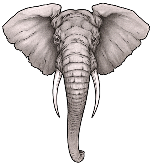 Tattoo Head Sleeve Artist Elephant Ink PNG Image