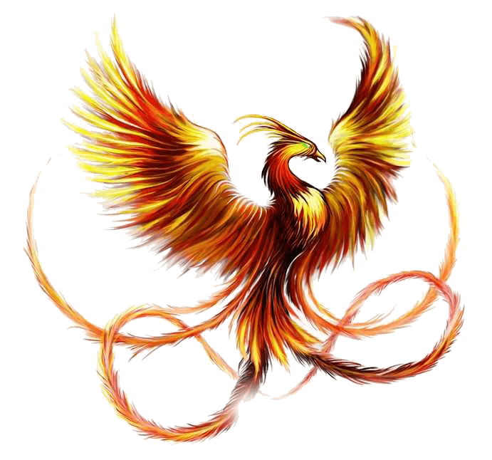 Download Tattoo Sleeve Phoenix Fenghuang Ink Firebird HQ PNG Image