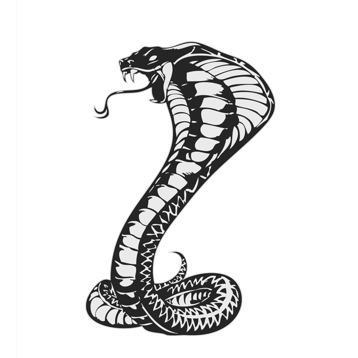 Cobras King Cobra Snakes Tattoo Snake Drawing PNG Image