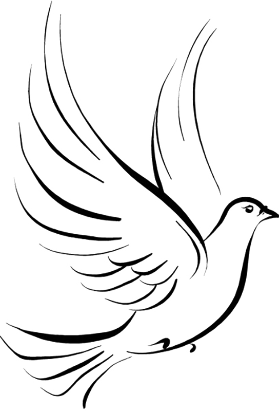 Tattoo Stencil Pigeon Pen Jane Drawing PNG Image