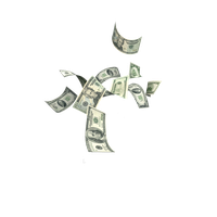 Picture United Service Dollar De Tax States