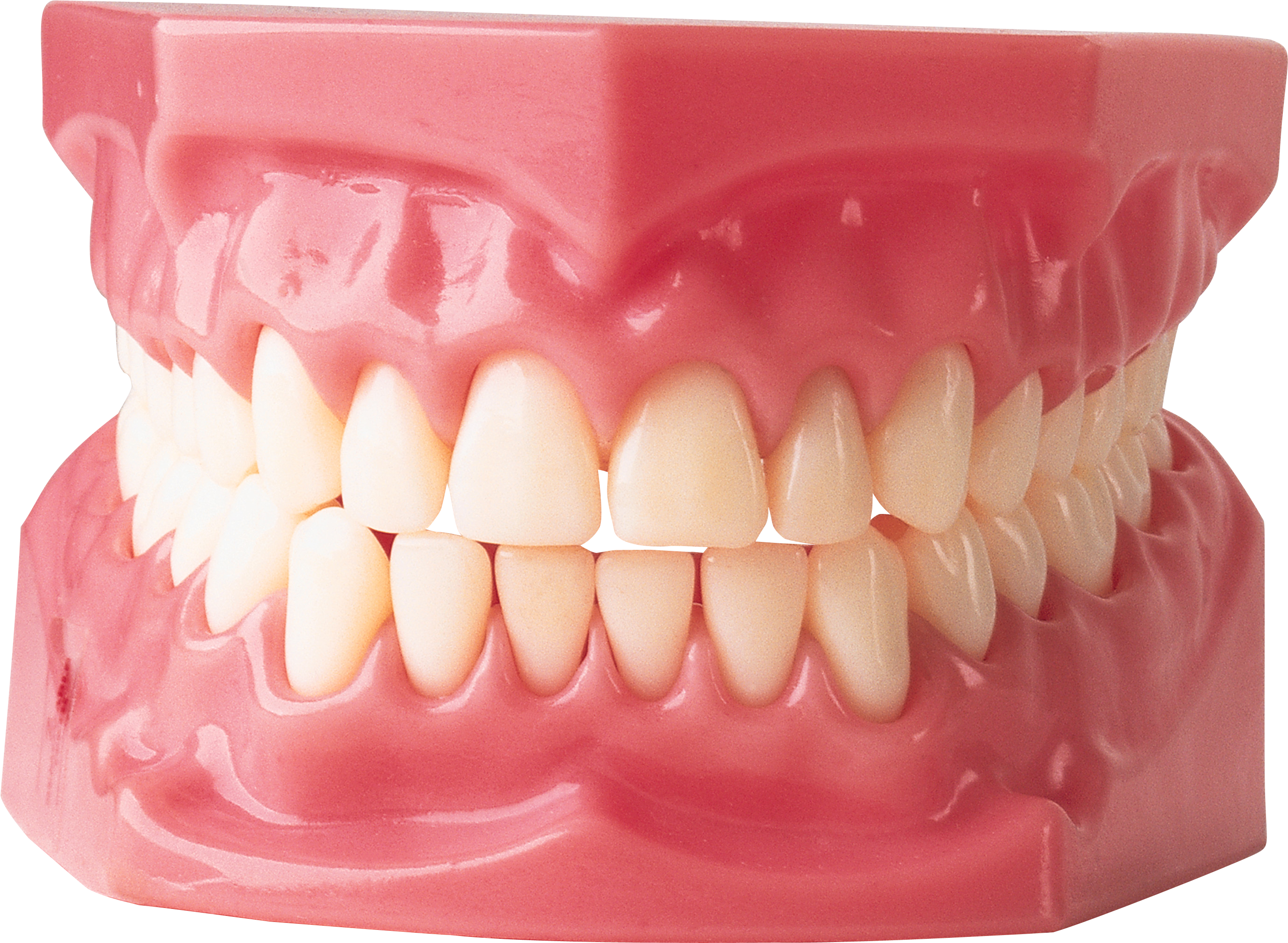 Picture Tooth Download HQ PNG Image