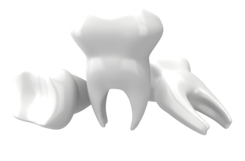 White Tooth HD Image Free PNG Image