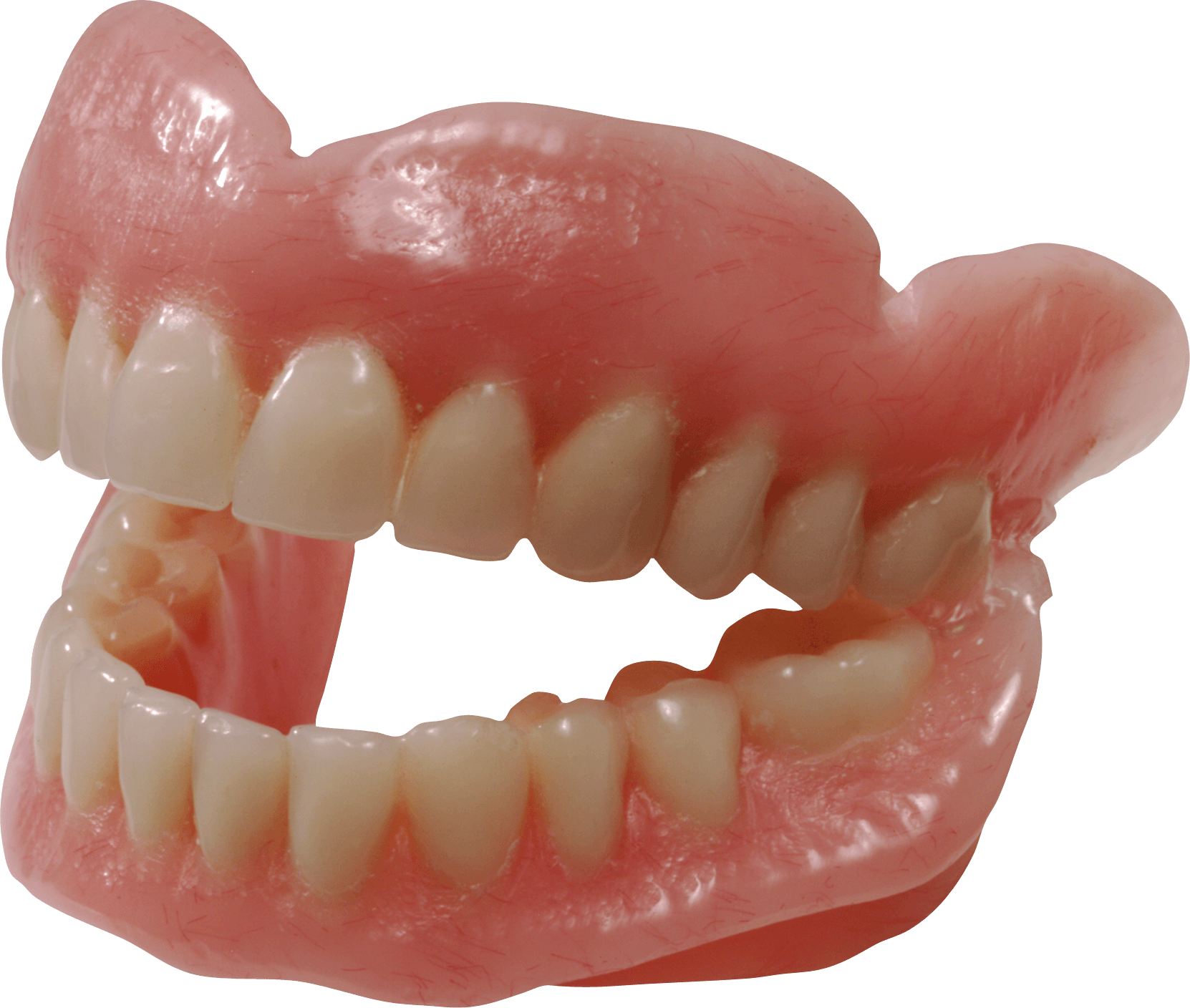 Teeth Png Image PNG Image