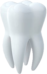 Tooth Png Image PNG Image