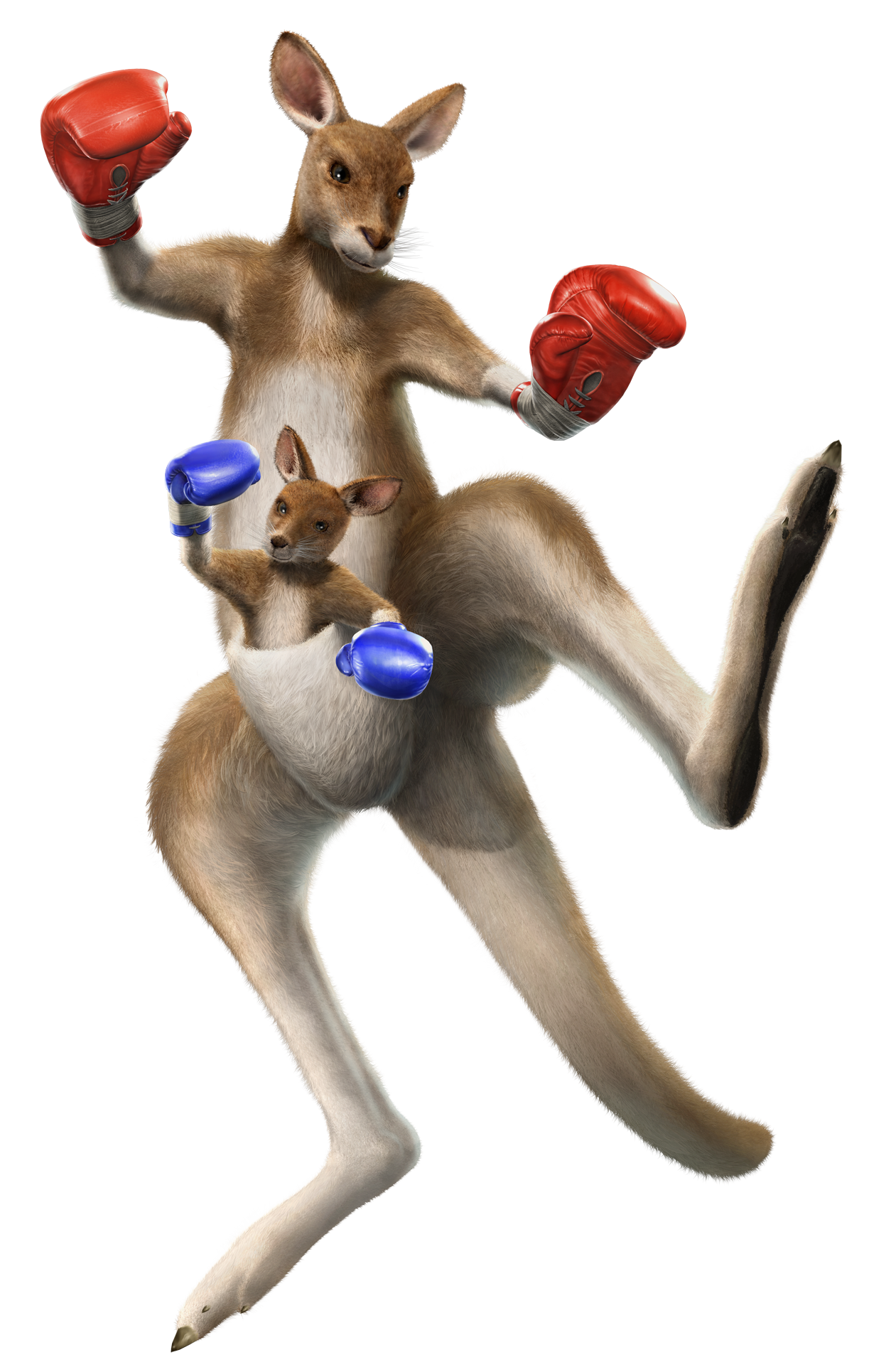 Tekken Kangaroo Roger Free HD Image PNG Image