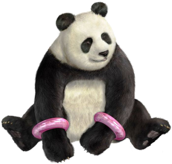 Tekken Panda Download HD PNG Image