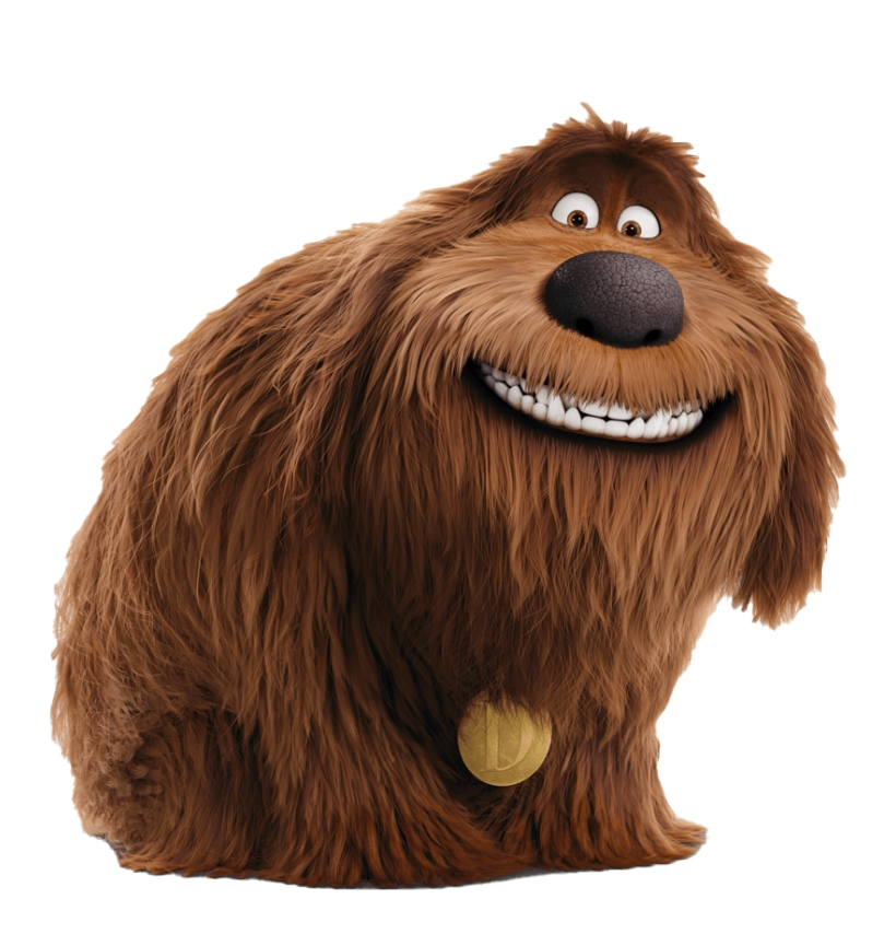 Of The Life Secret Pets PNG Image