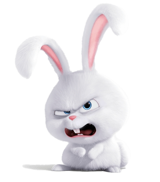 Life Pets Of Snowball Secret Rabbit The PNG Image