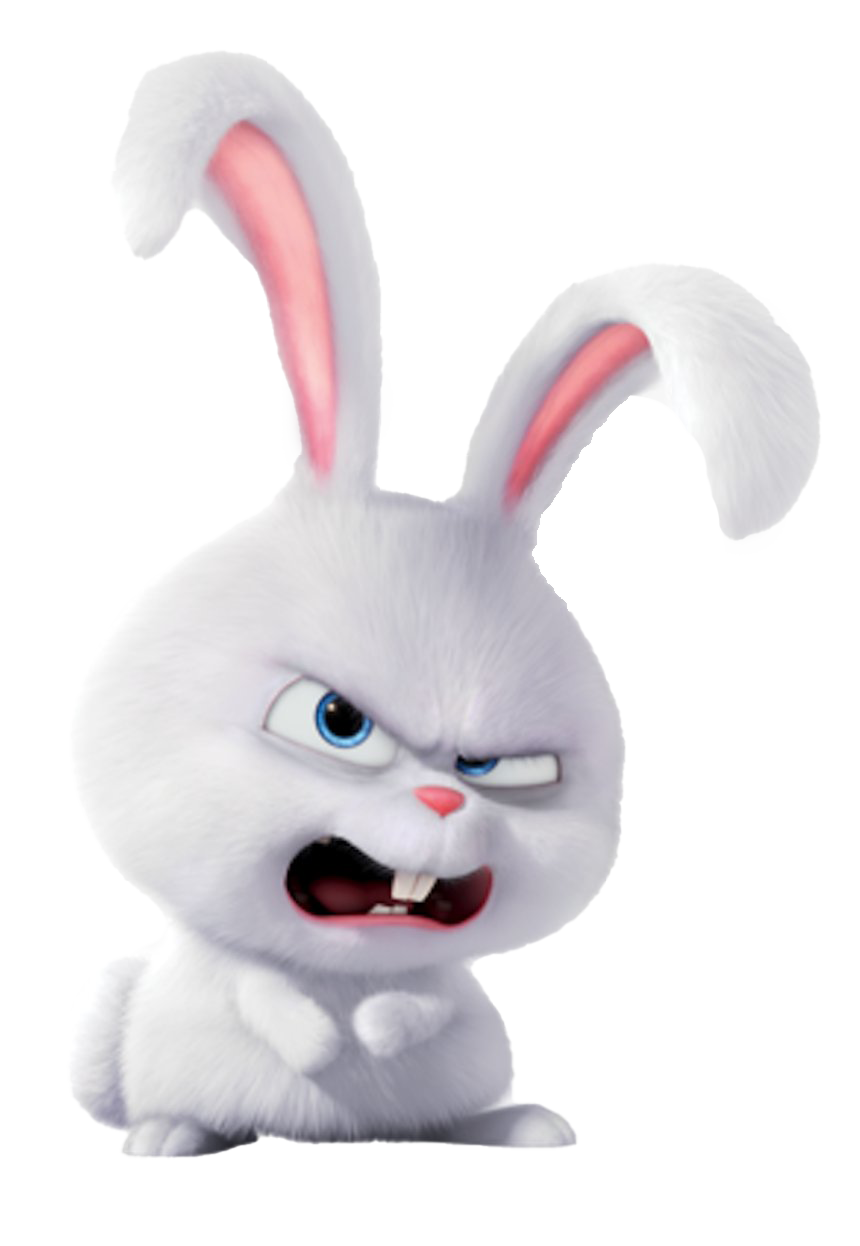 Life Pets Of Snowball Secret Rabbit The PNG Image