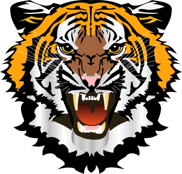 Tiger Face File PNG Image