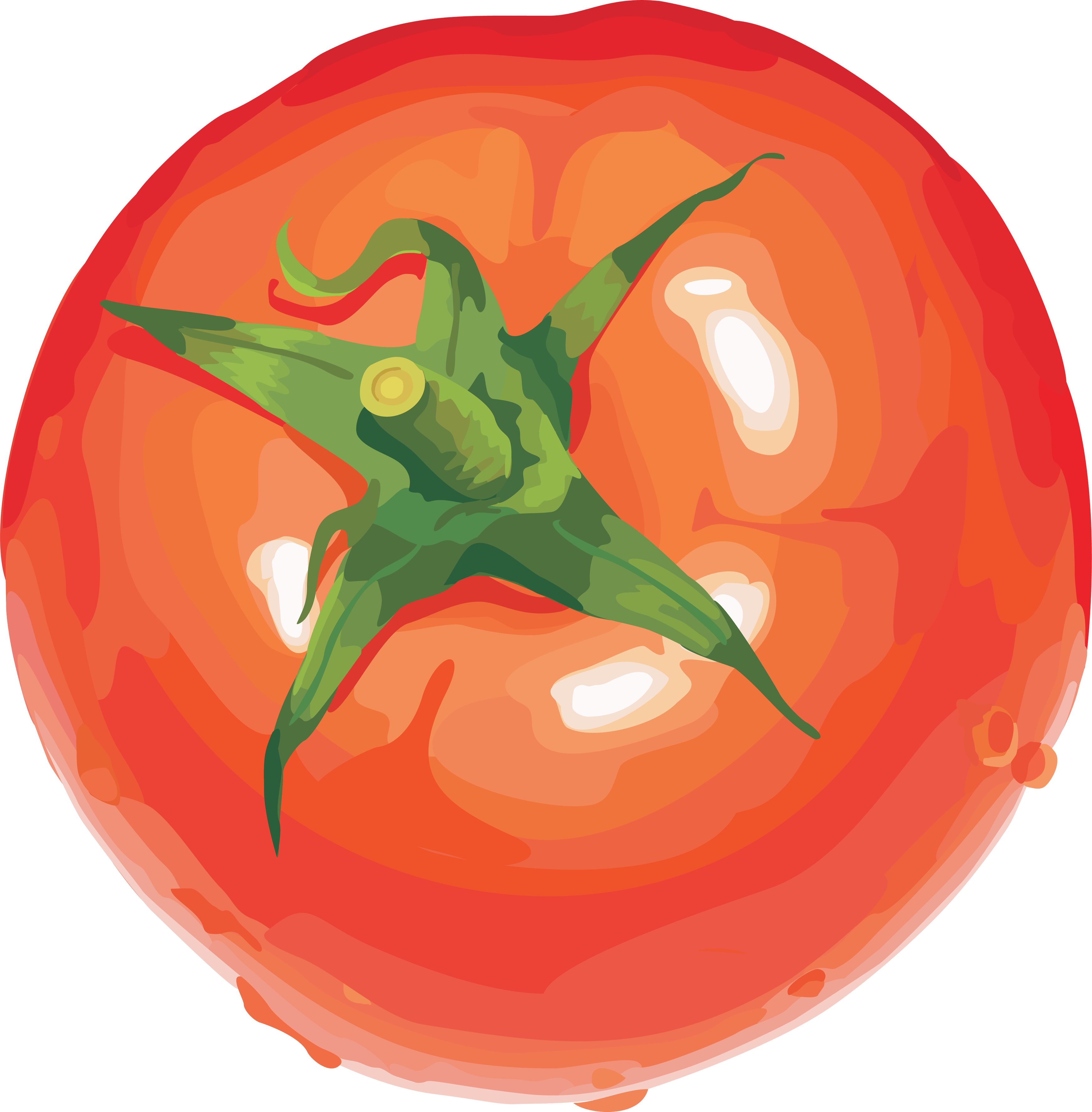 Tomato Png Image PNG Image