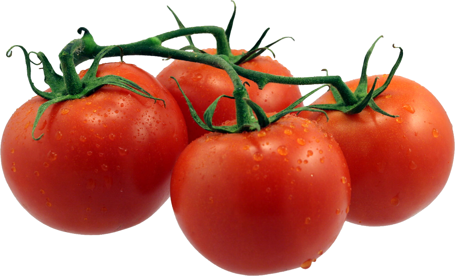 Fresh Tomatoes Bunch HQ Image Free PNG Image