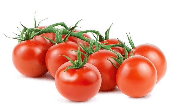 Fresh Photos Tomatoes Bunch Free Photo PNG Image