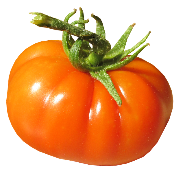 Fresh Juicy Tomatoes Bunch PNG Download Free PNG Image