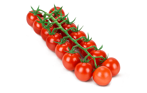 Fresh Organic Tomatoes Bunch Free Clipart HQ PNG Image