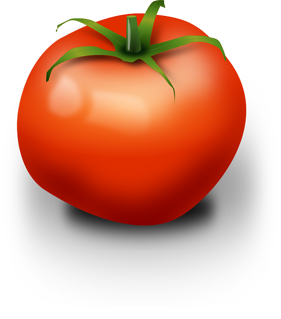 Fresh Organic Tomatoes Bunch Free Download Image PNG Image