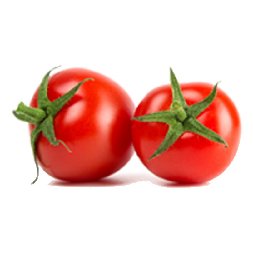 Fresh Tomatoes Red Bunch PNG Download Free PNG Image