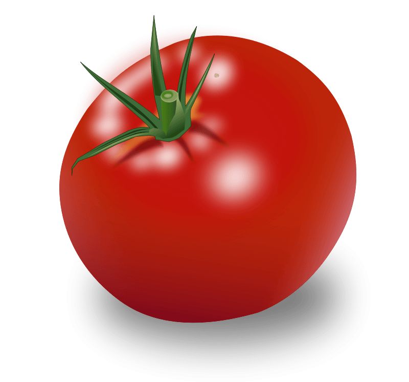 Tomato Png Image PNG Image