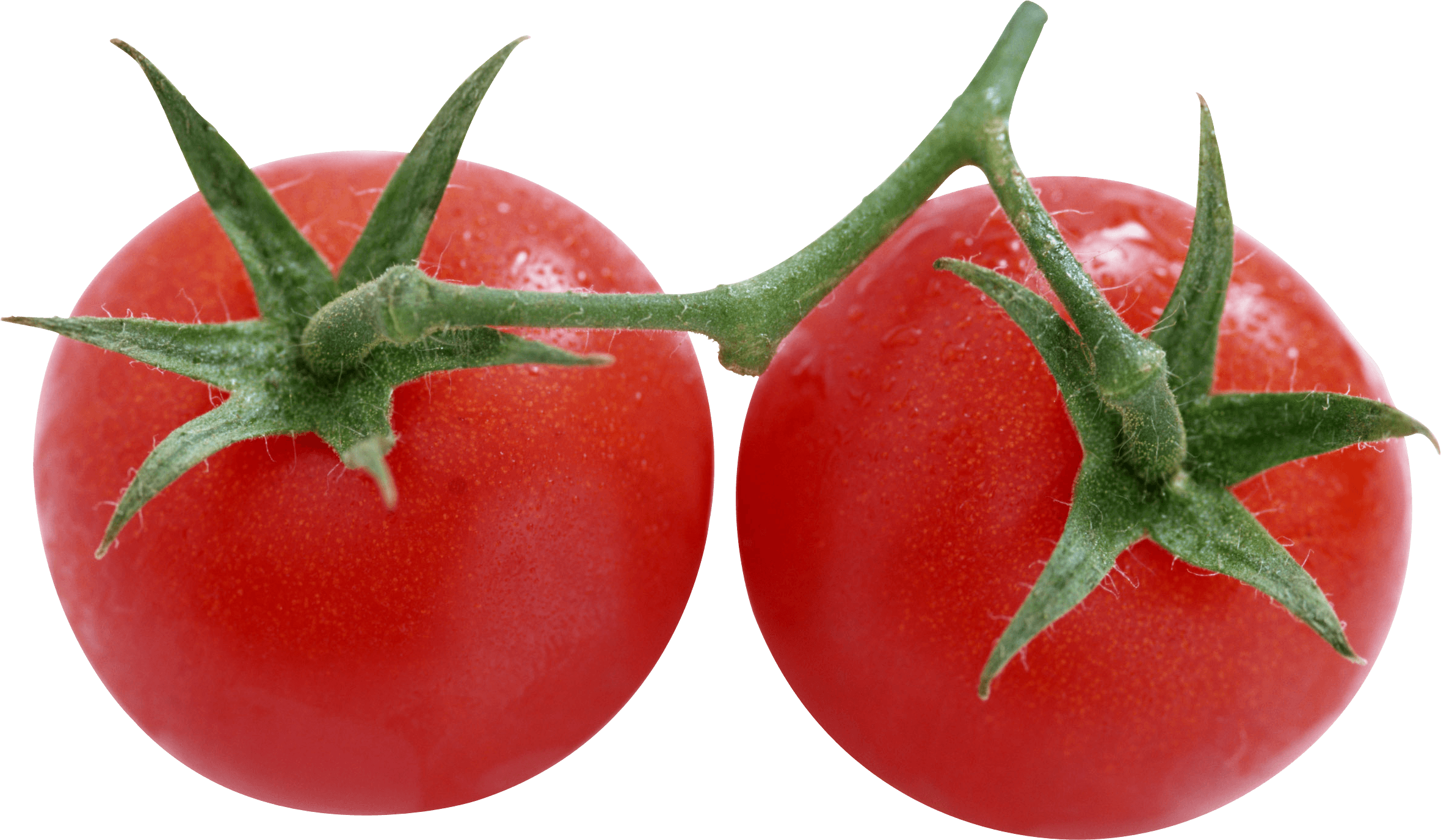 Tomato Png Image PNG Image