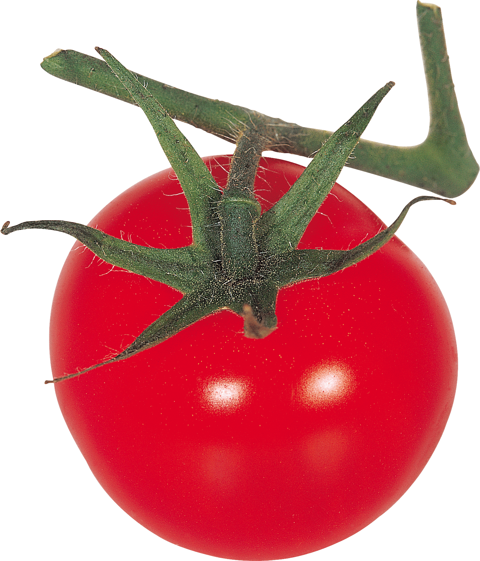 Tomato Png Image PNG Image