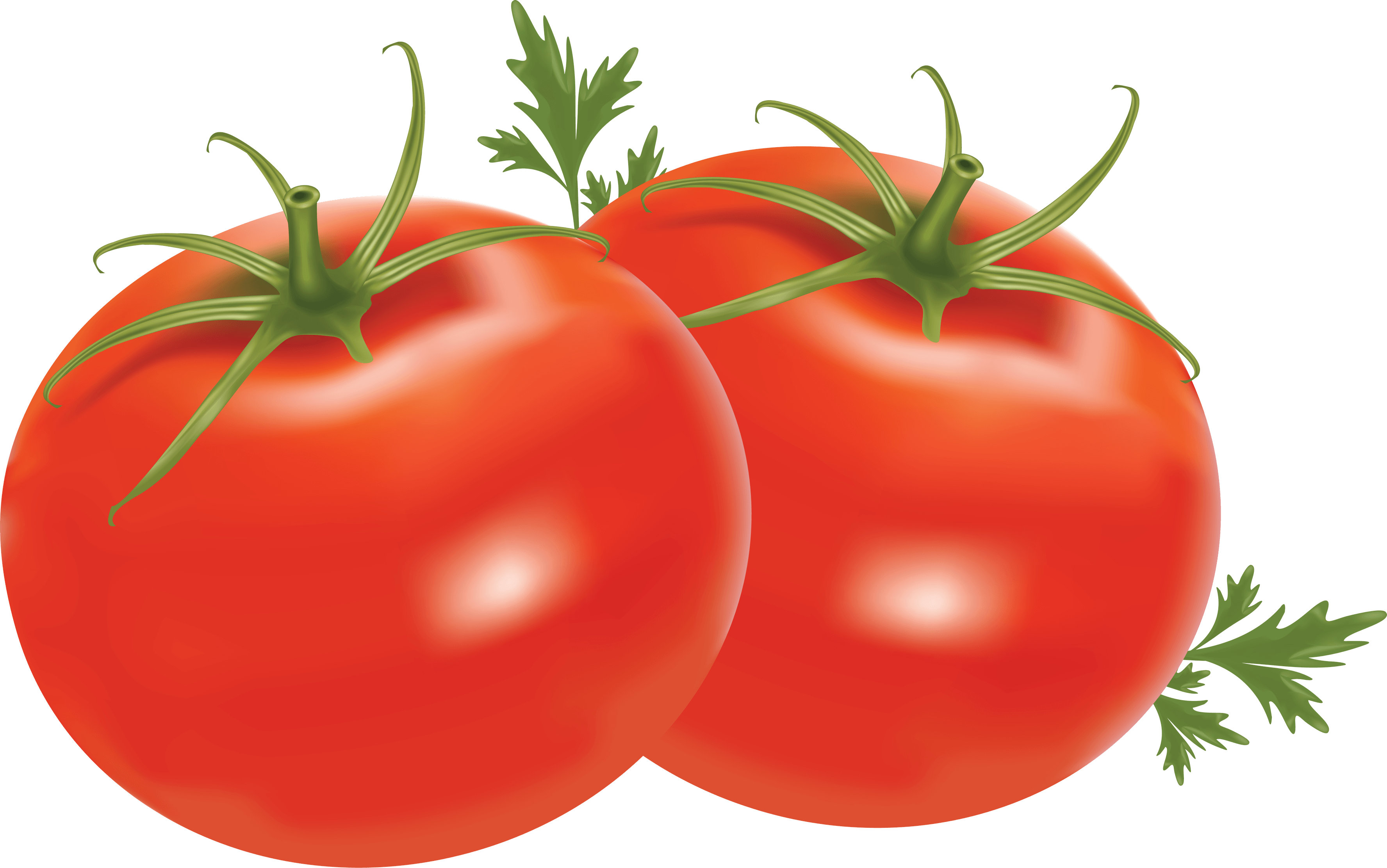 Tomato Png Image PNG Image