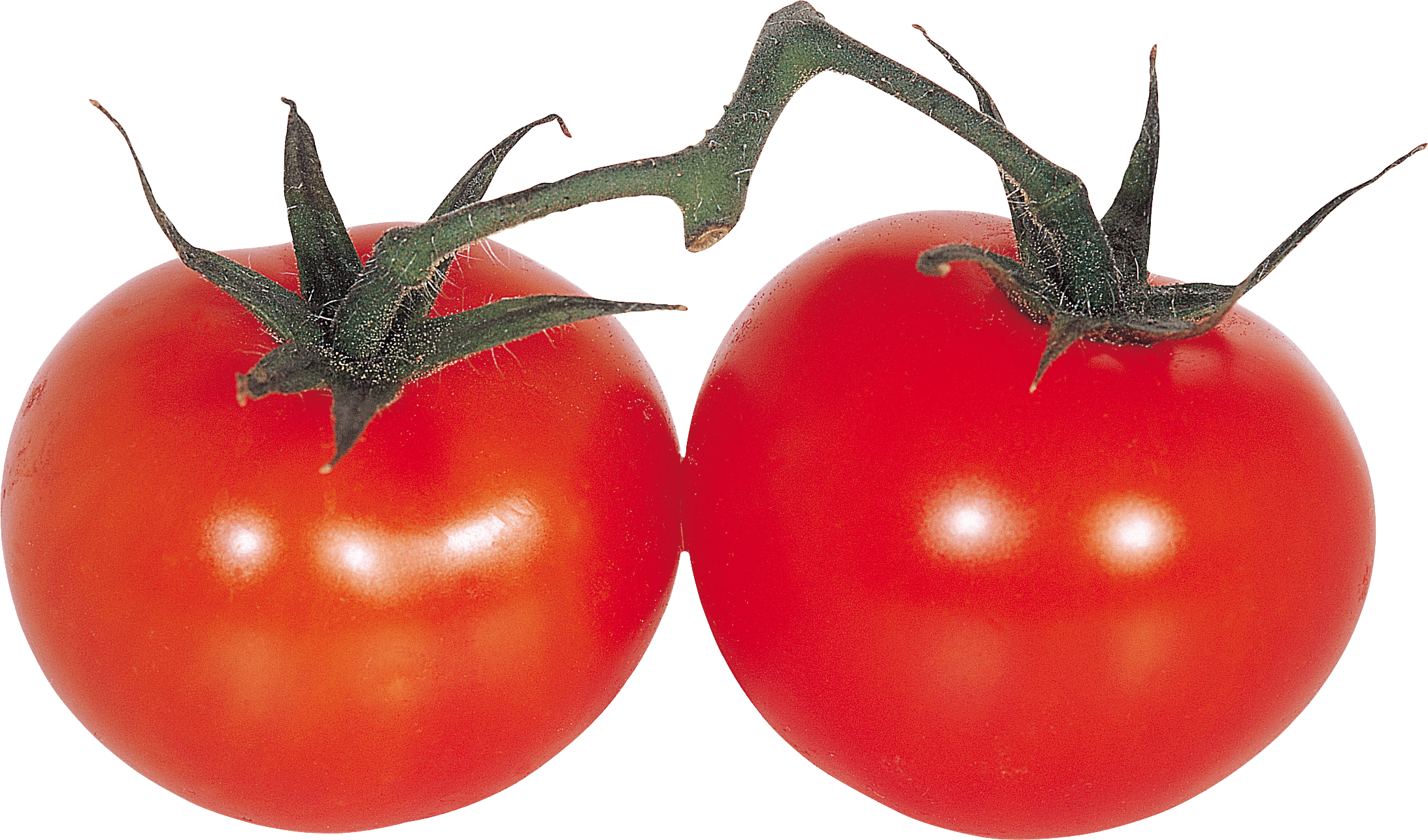 Tomato Png Image PNG Image