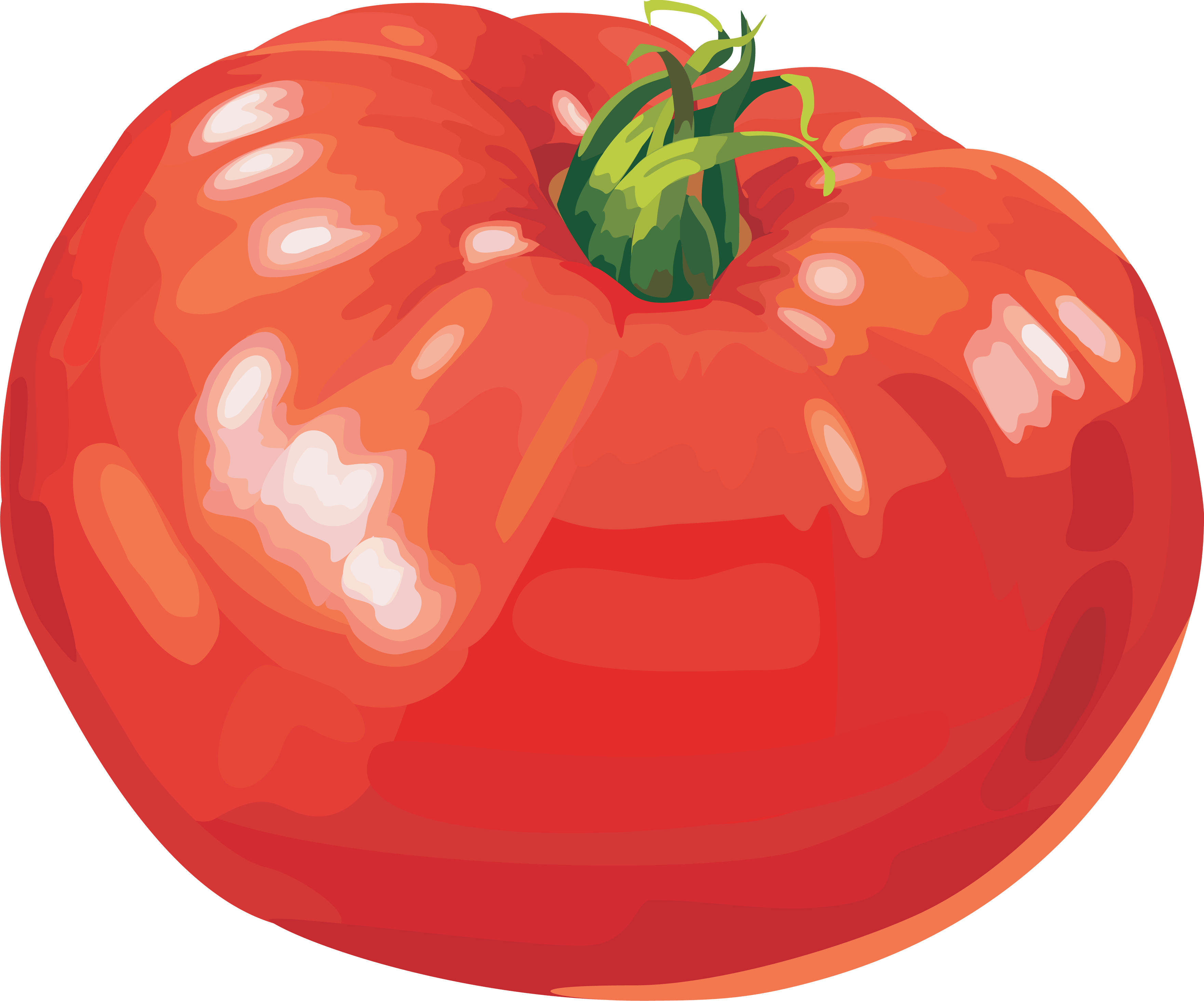 Tomato Png Image PNG Image