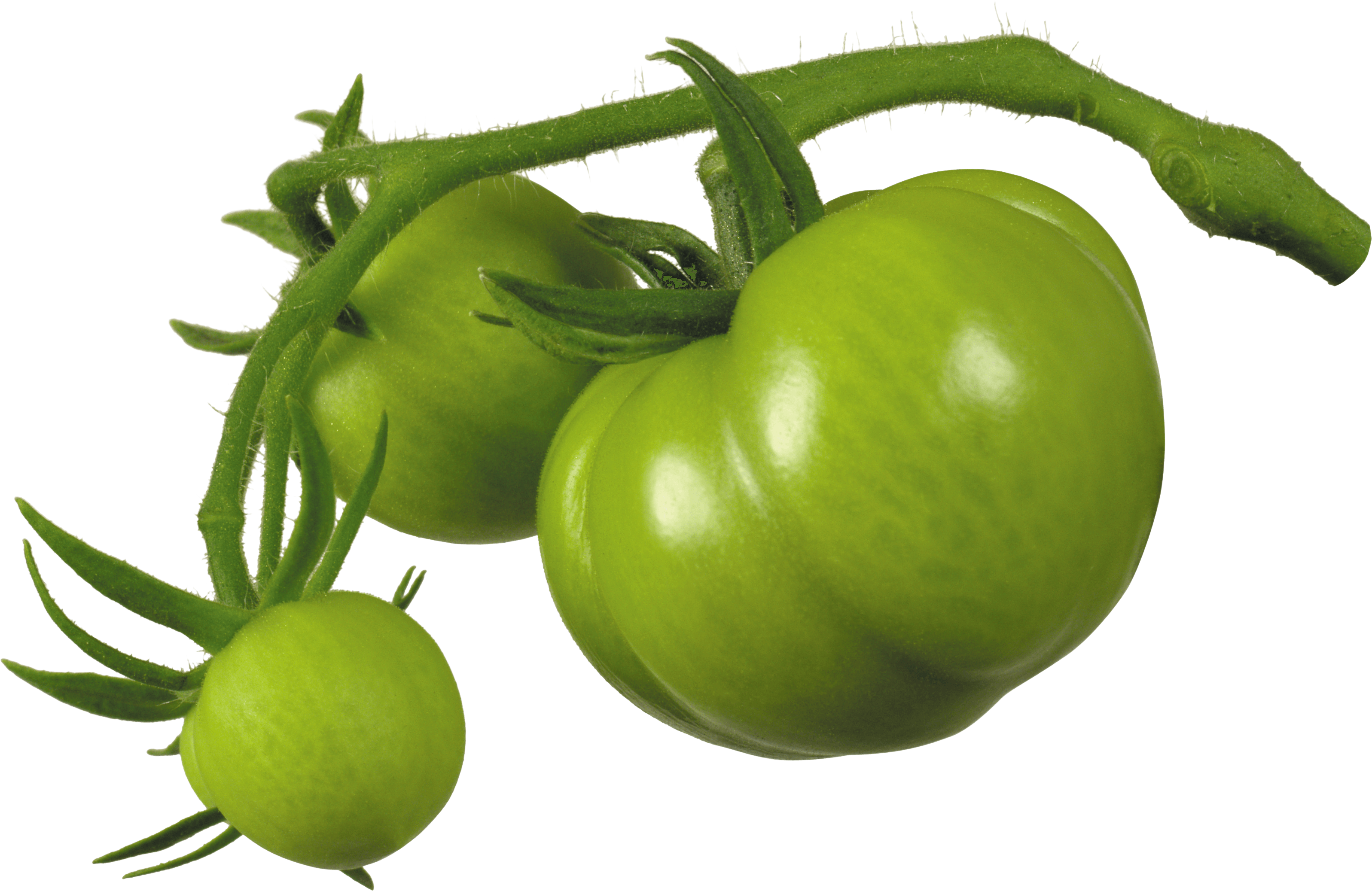 Tomato Png Image Picture Download PNG Image