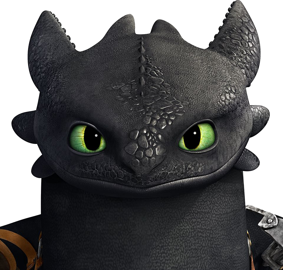 Download Fury Pic Toothless Night PNG File HD HQ PNG Image FreePNGImg.