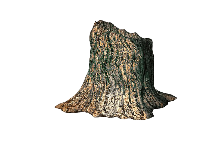 Tree Stump Trunk PNG File HD PNG Image