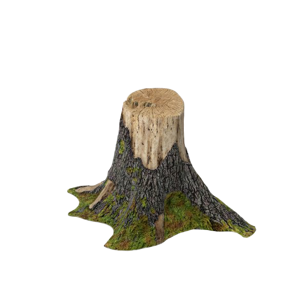 Tree Stump Trunk PNG Free Photo PNG Image