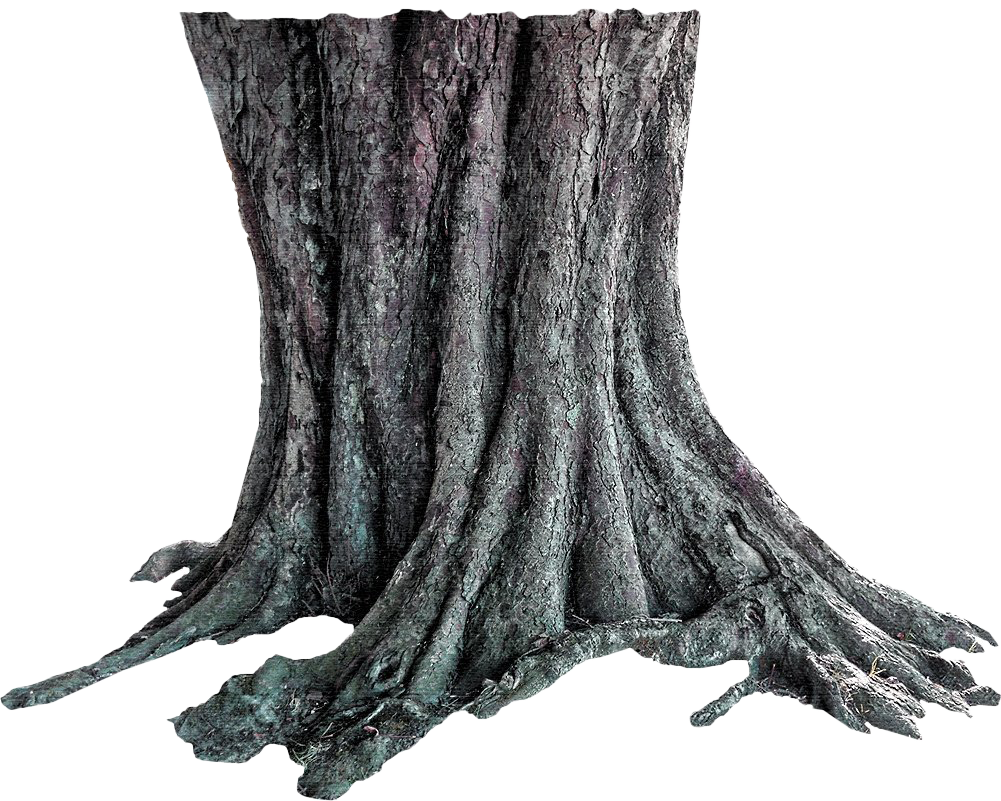 Tree Trunk Free Download PNG HD PNG Image
