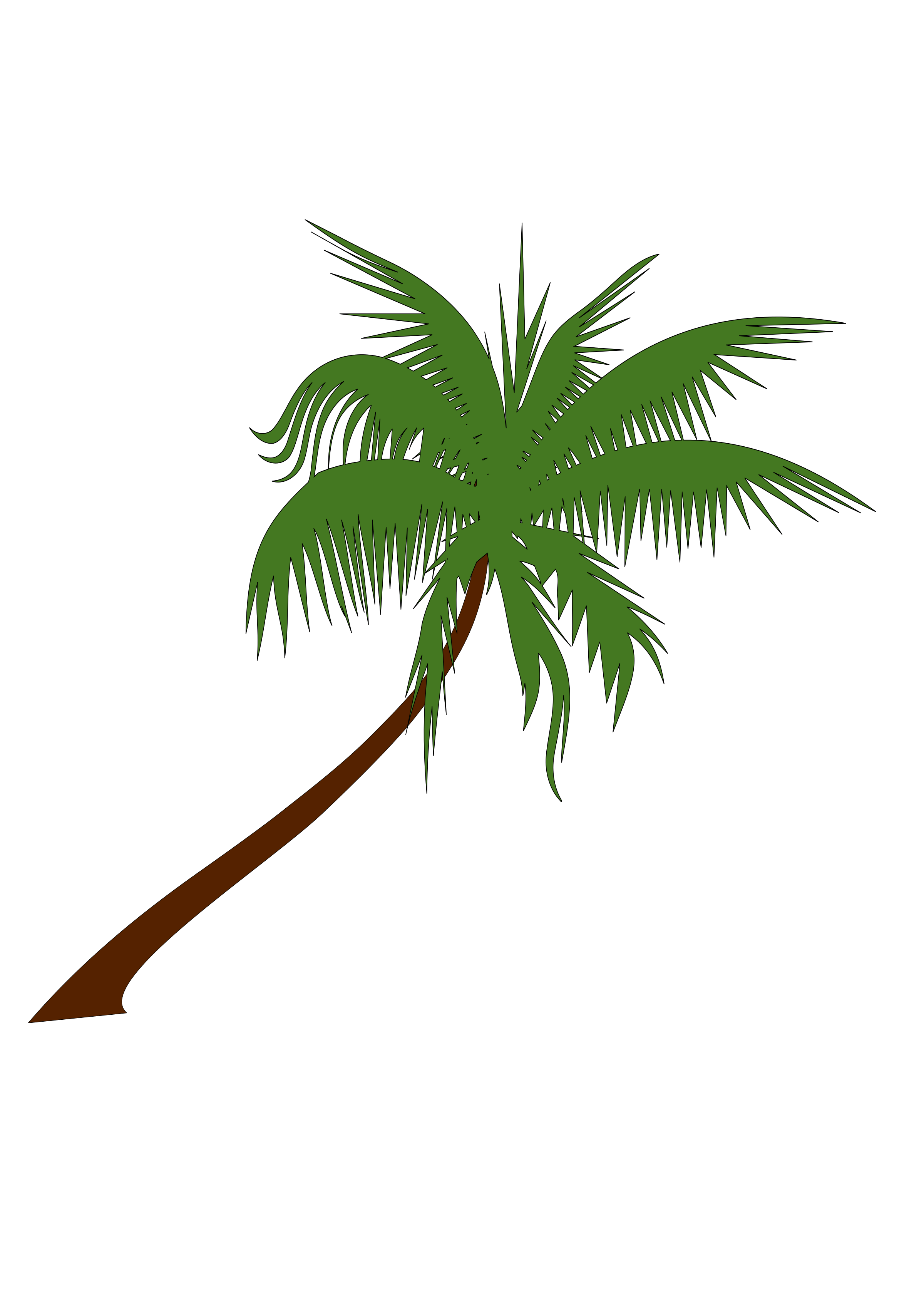 Coconut Tree Free Download PNG Image