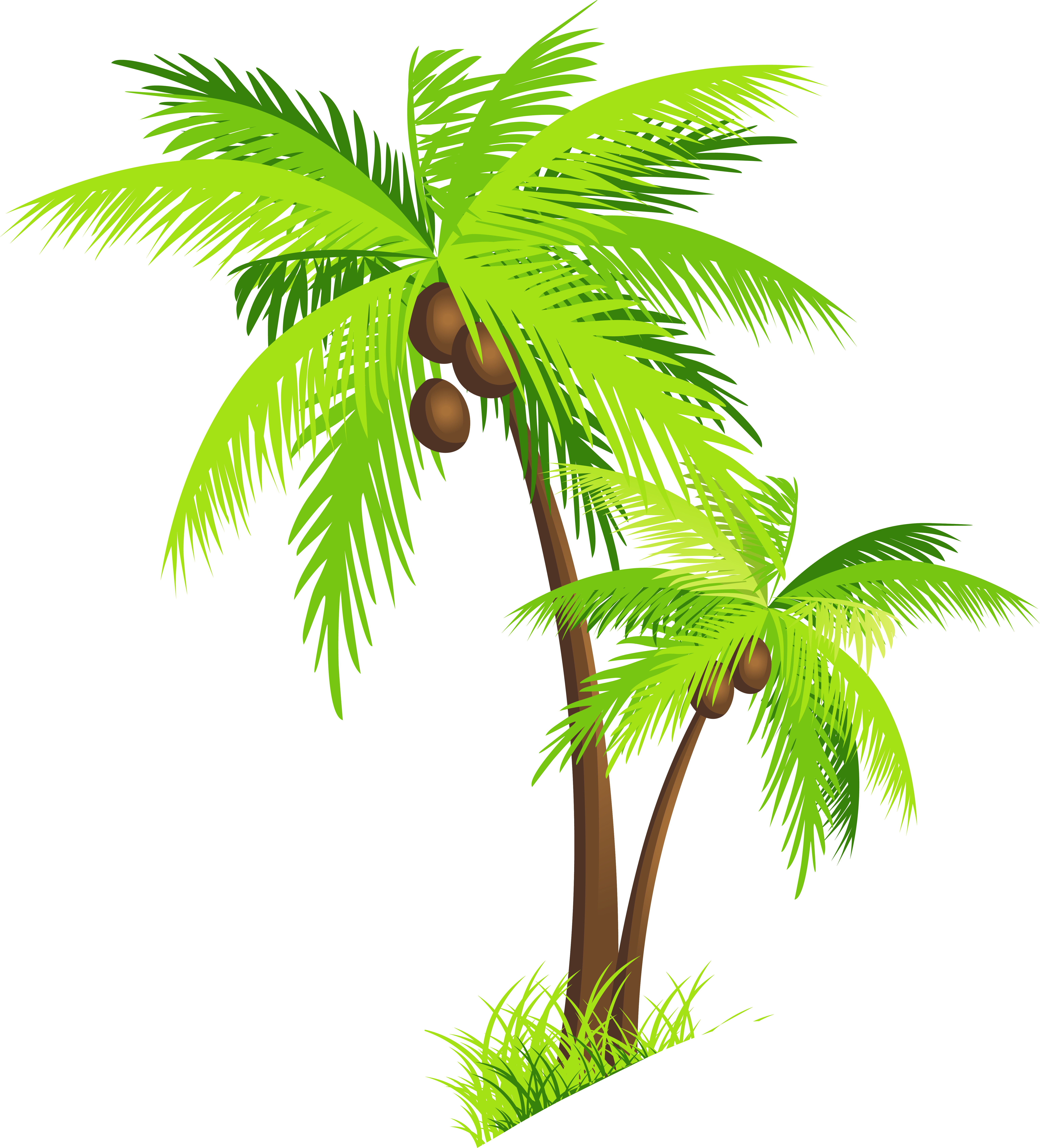 Download Coconut Tree Clipart HQ PNG Image FreePNGImg 