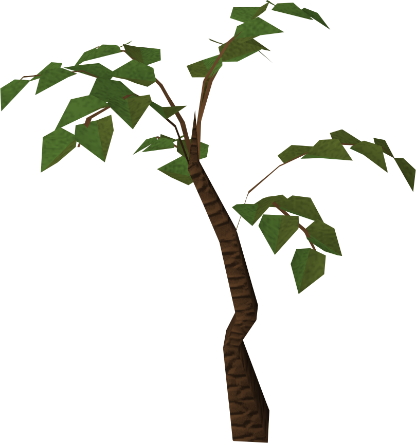 Jungle Tree Hd PNG Image