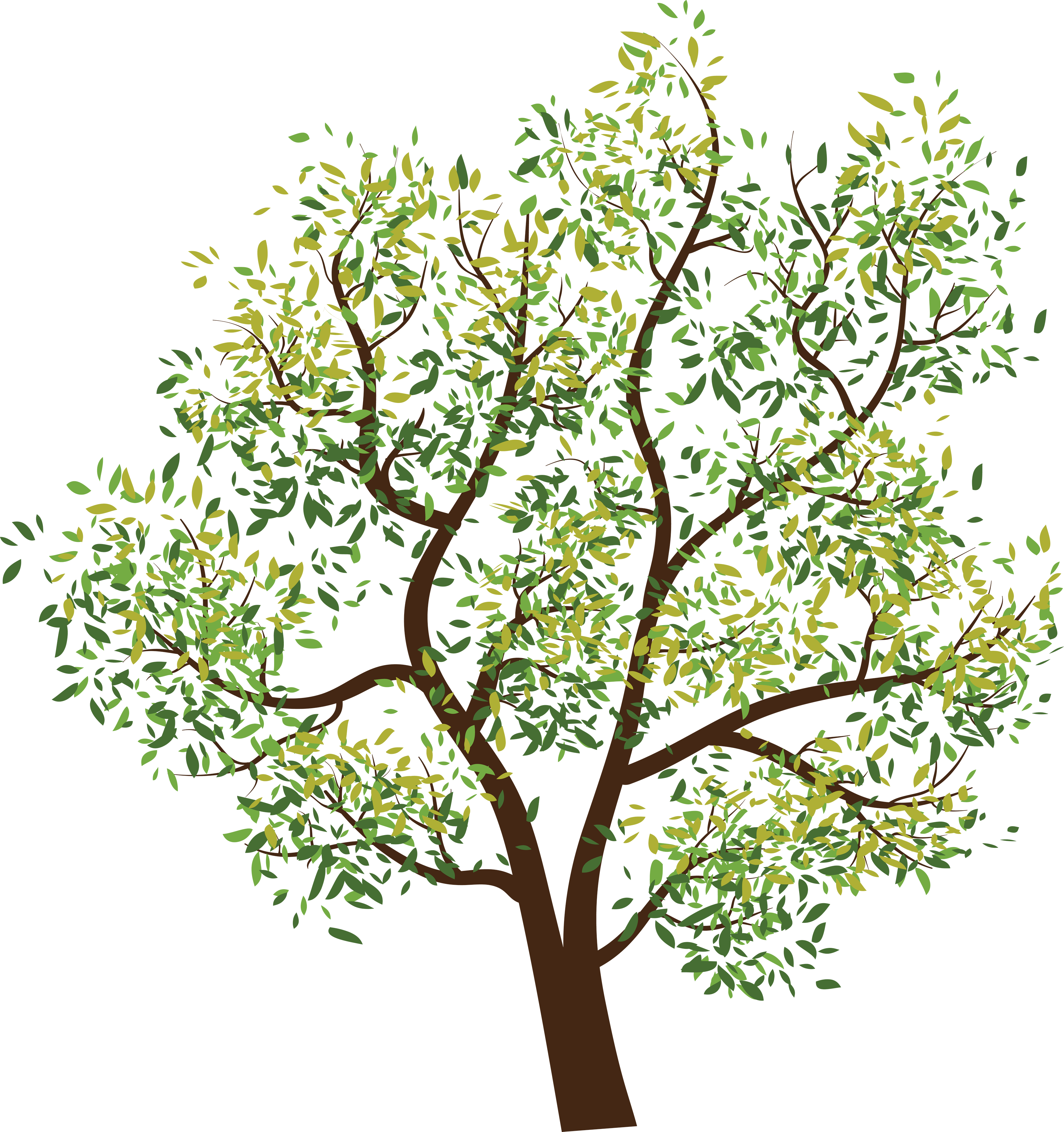 Tree Png Image PNG Image