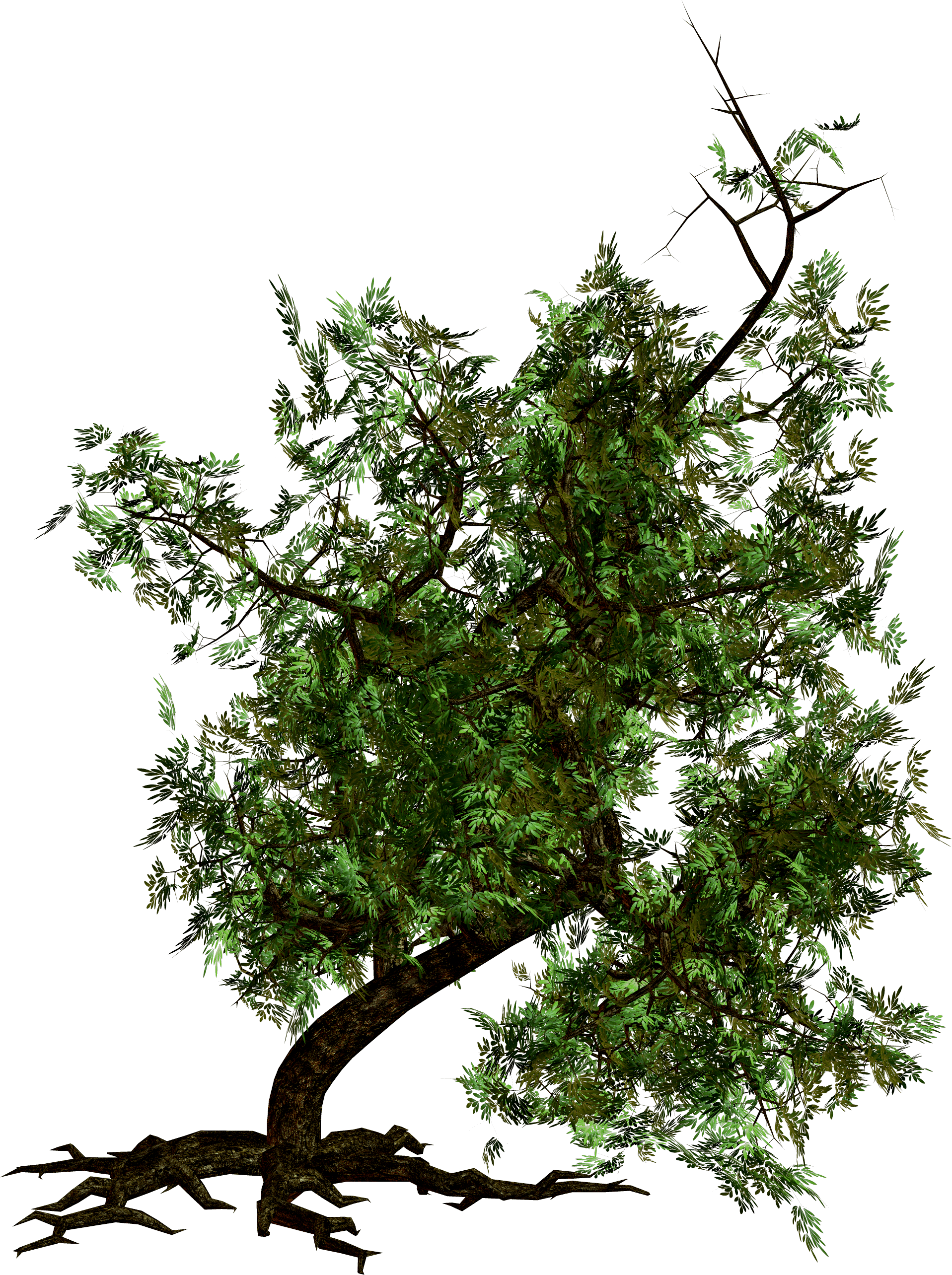 Tree Png Image PNG Image