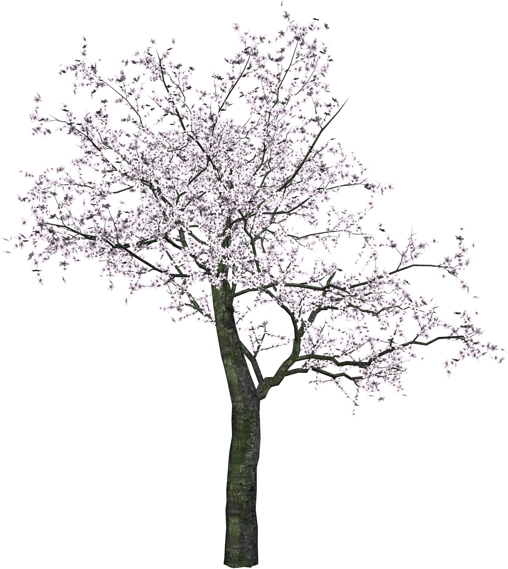 Tree Png Image PNG Image