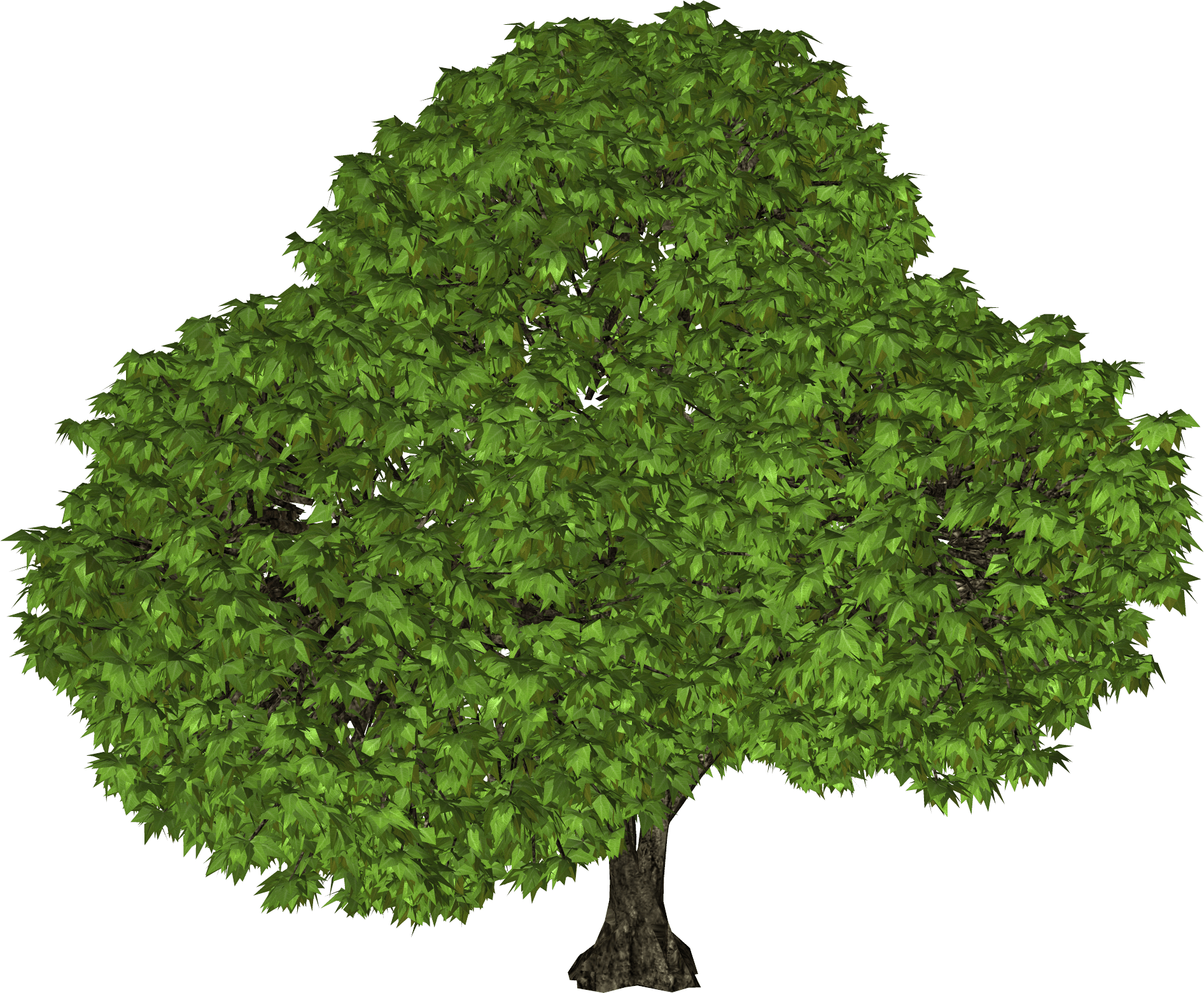 Tree Png Image PNG Image