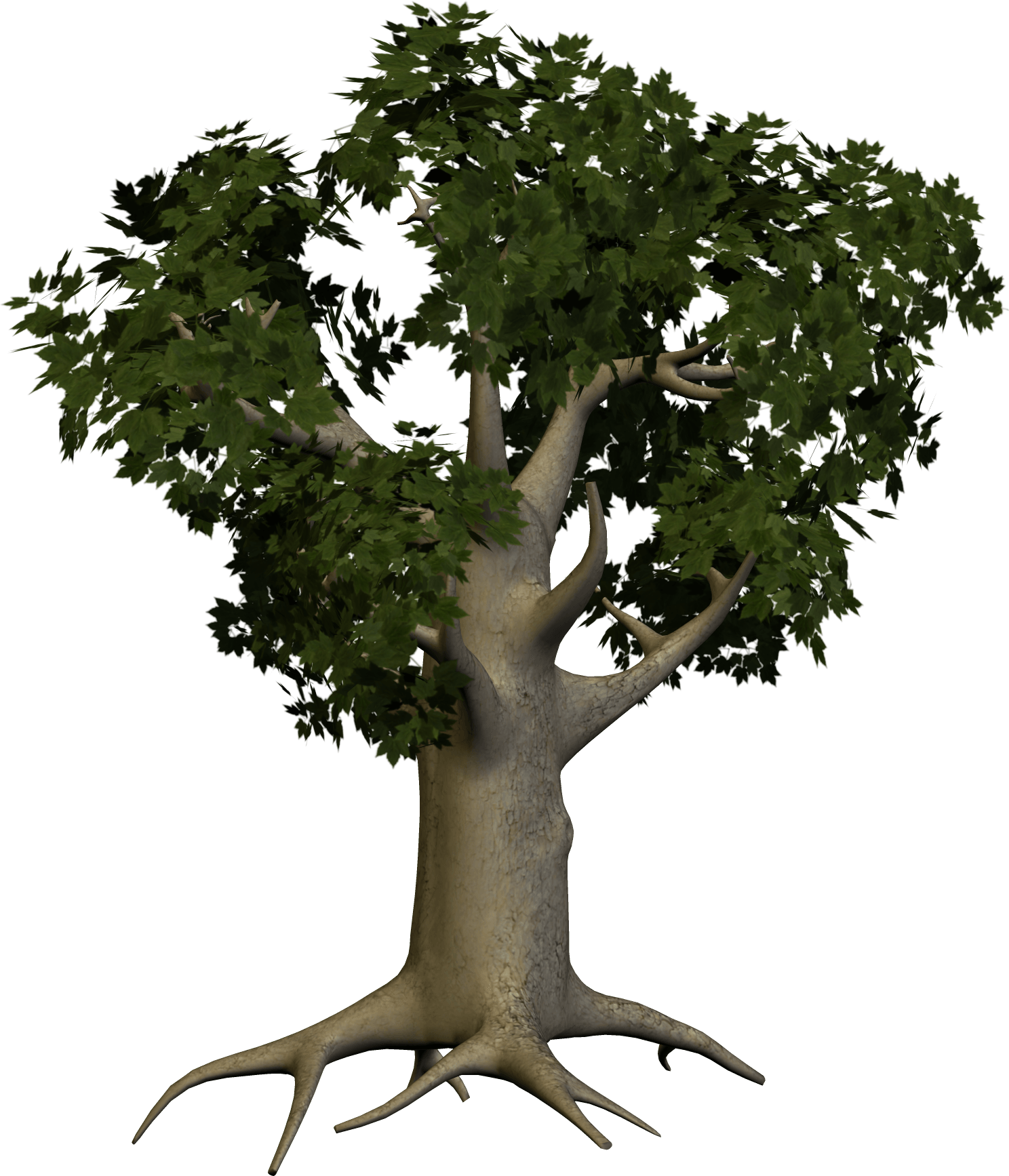 Tree Png Image PNG Image