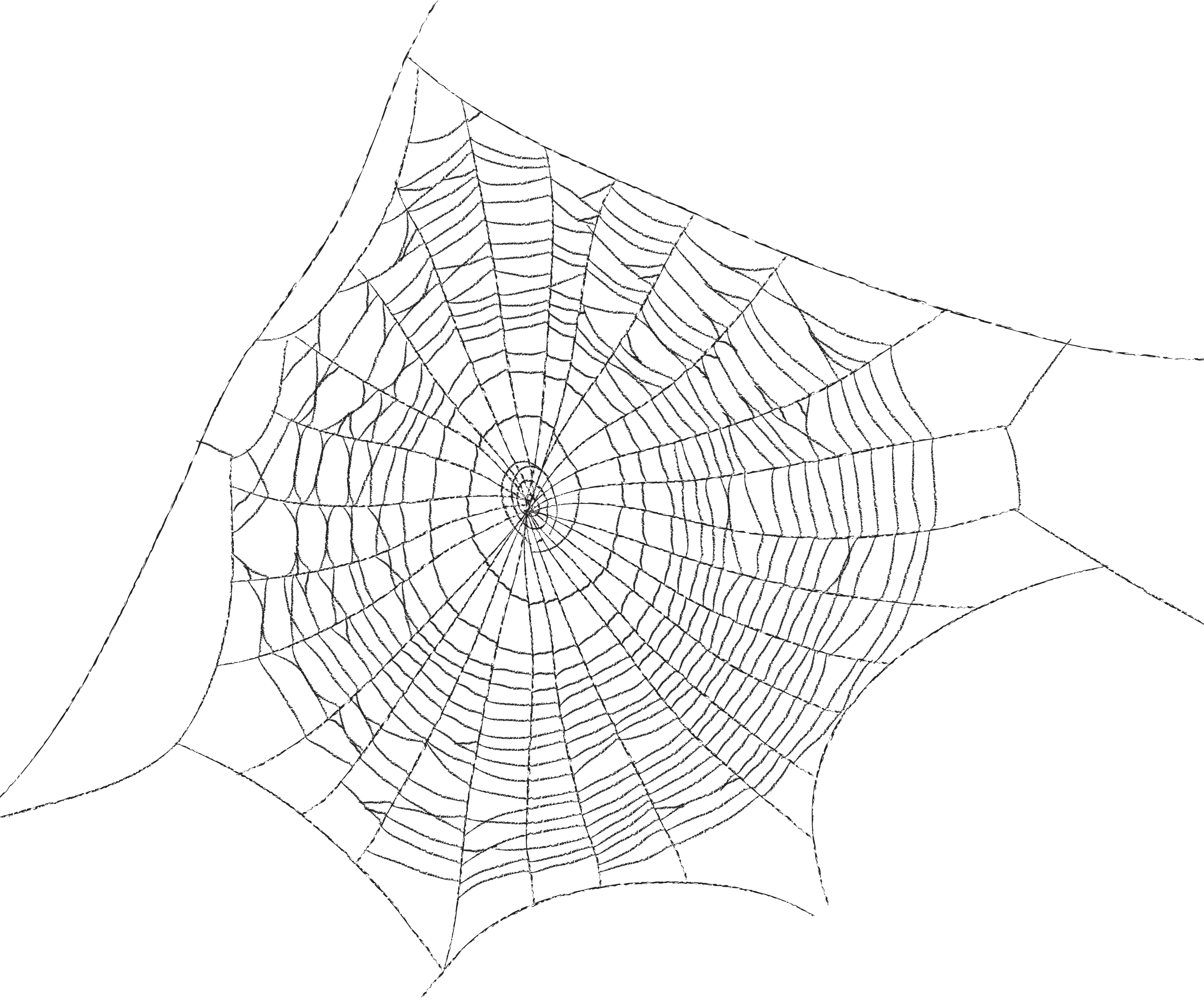 Web Silk Triangle Spider HQ Image Free PNG PNG Image