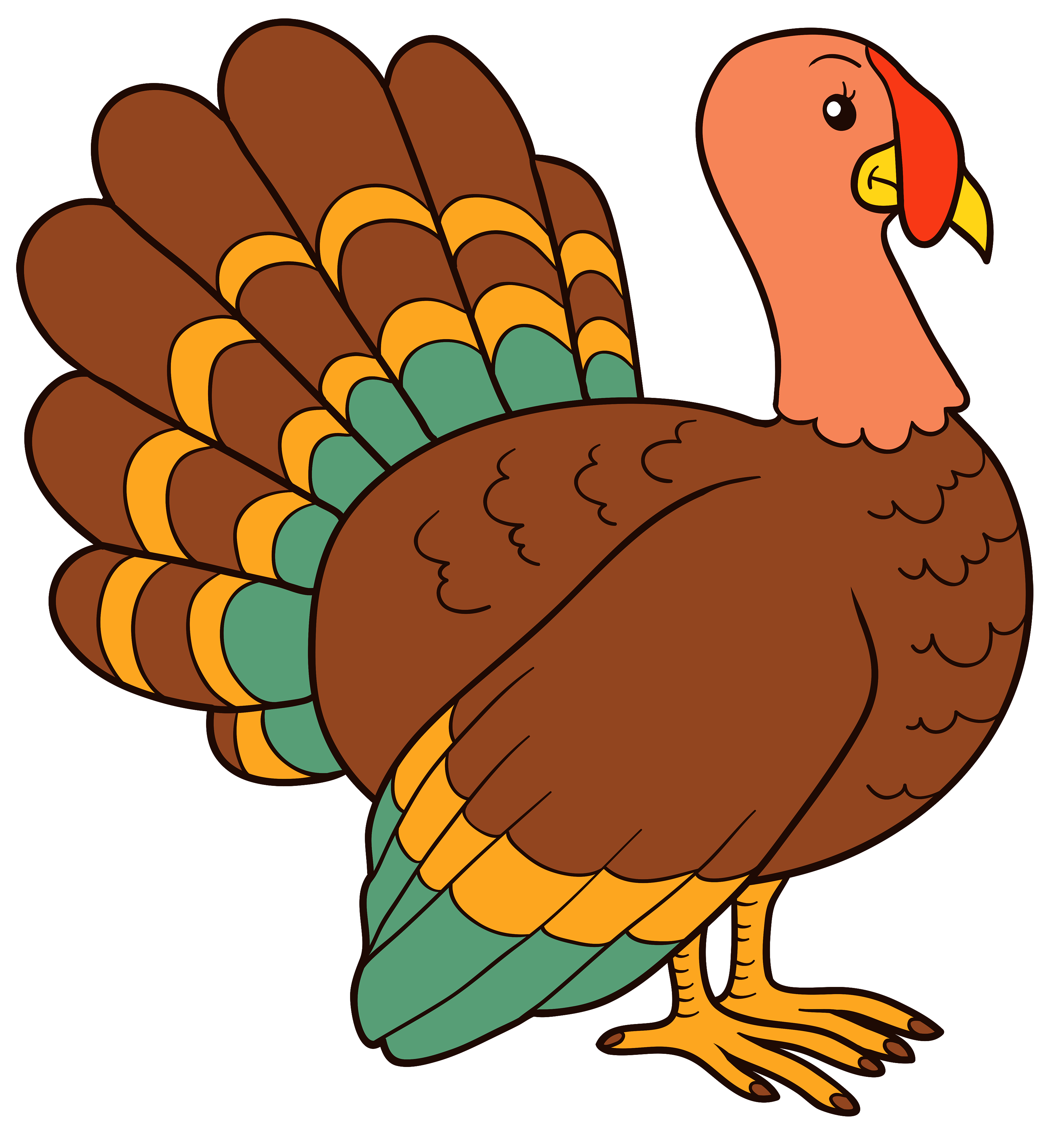 Turkey Image PNG Image