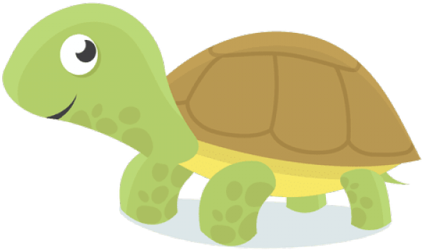 Turtle Green Download HQ PNG Image