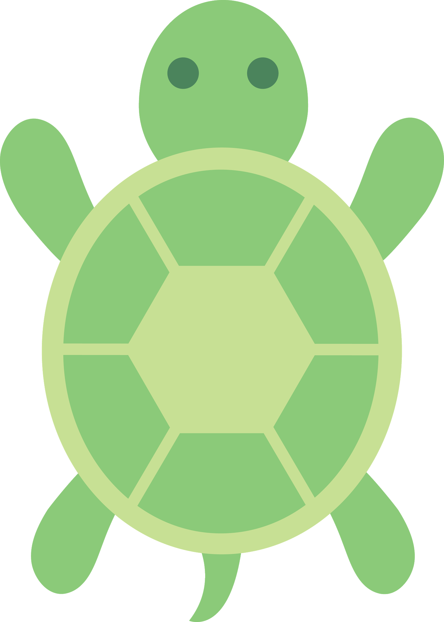 Turtle Green Free HD Image PNG Image